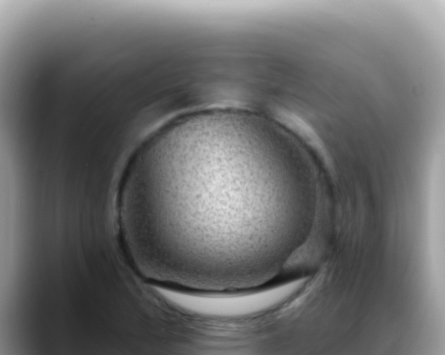 X0000088731172200706071634