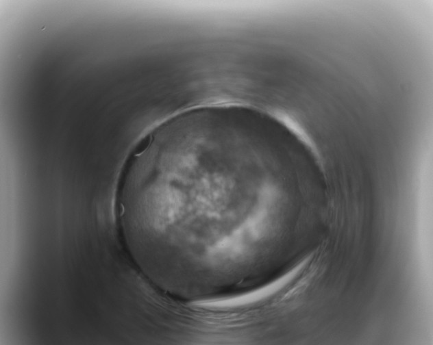 X0000088731173200706071634