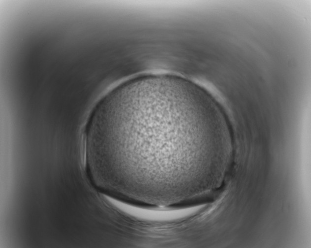X0000088731175200706071634