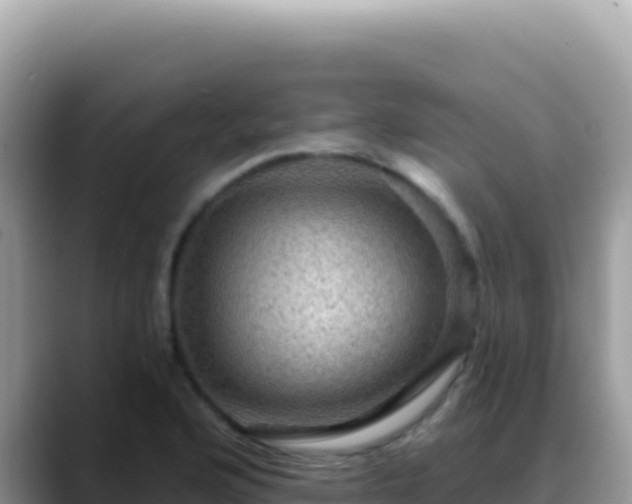 X0000088731176200706071634