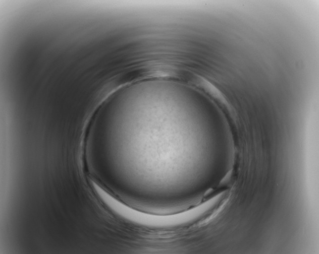 X0000088731178200706071634