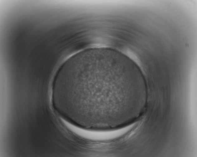 X0000088731179200706071634