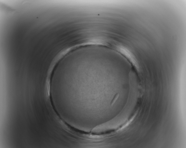 X0000088731180200706071634