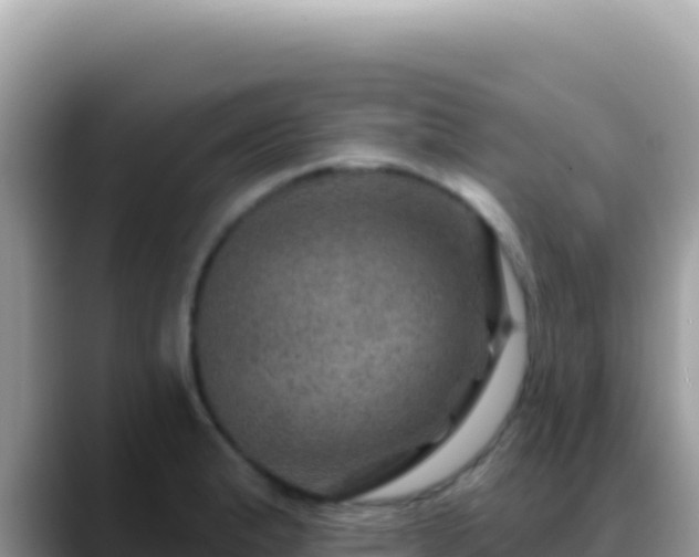 X0000088731183200706071634