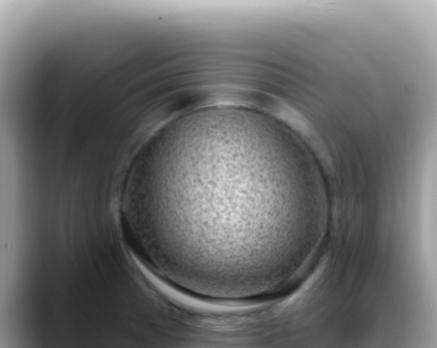 X0000088731185200706071634