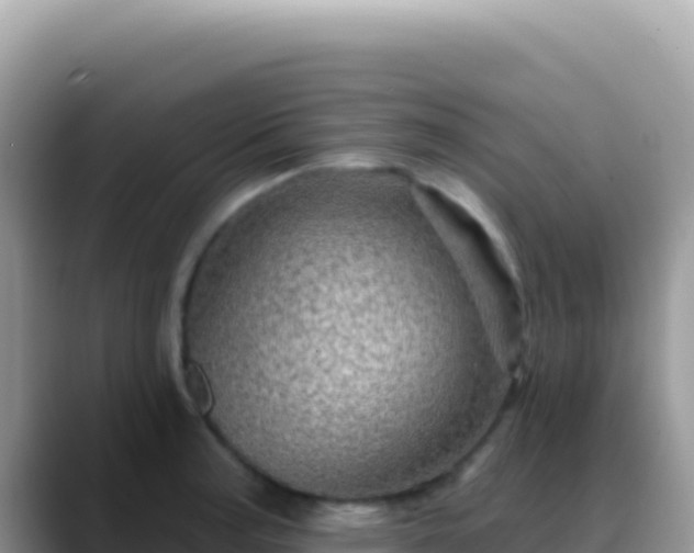 X0000088731187200706071634