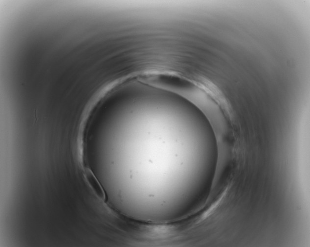 X0000088731188200706071634