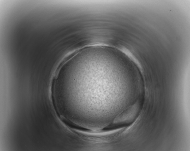 X0000088731189200706071634