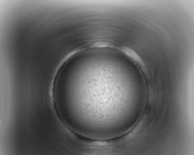 X0000088731190200706071634
