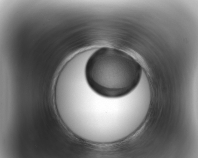 X0000088731192200706071633