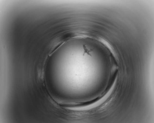 X0000088731193200706071633