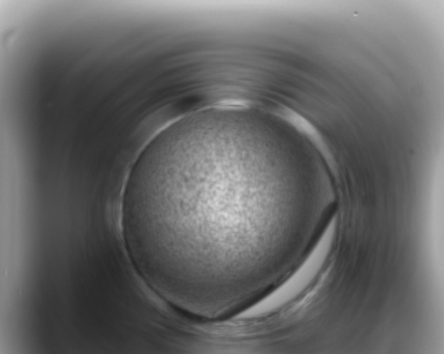 X0000088731194200706071633