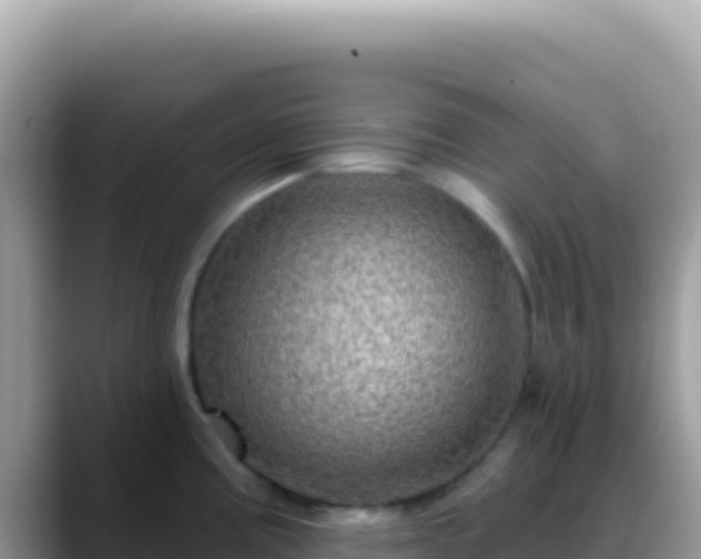X0000088731195200706071633