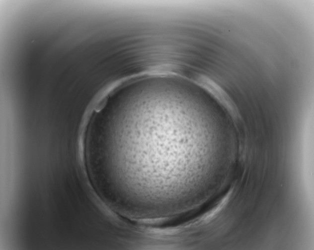 X0000088731196200706071633