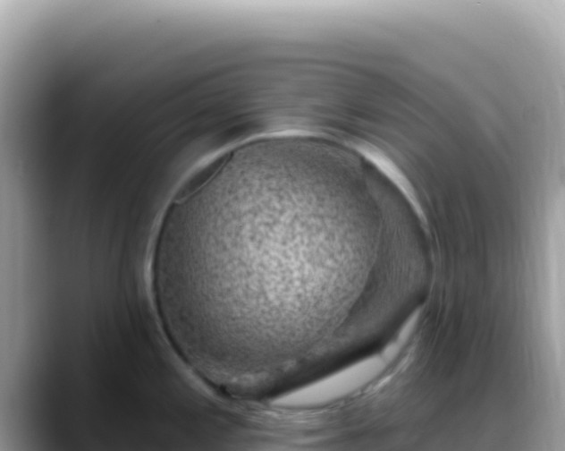 X0000088731197200706071633