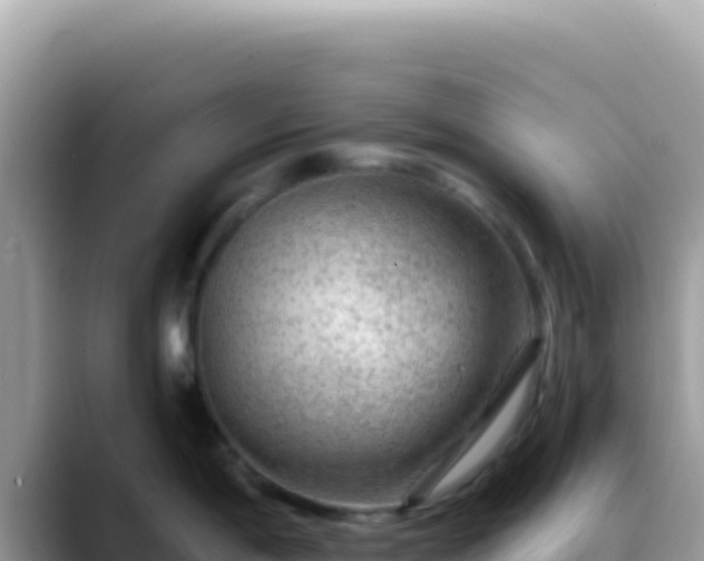 X0000088731198200706071633
