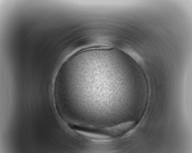 X0000088731200200706071633