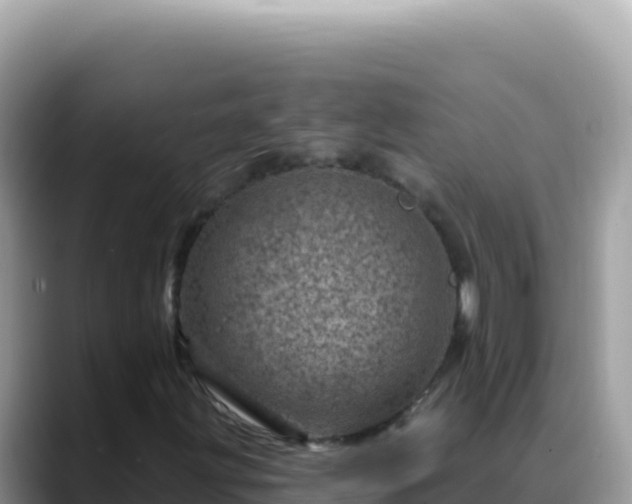 X0000088731203200706071633