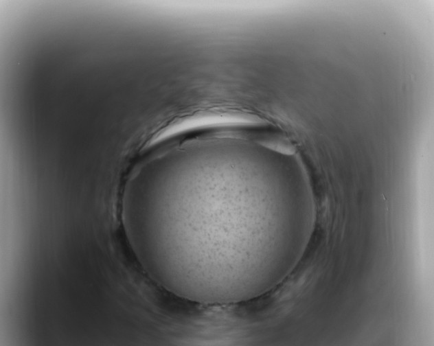X0000088731205200706071633