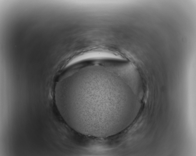 X0000088731206200706071633