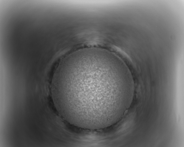 X0000088731207200706071633