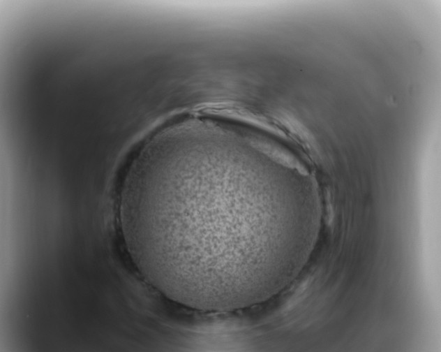 X0000088731208200706071633