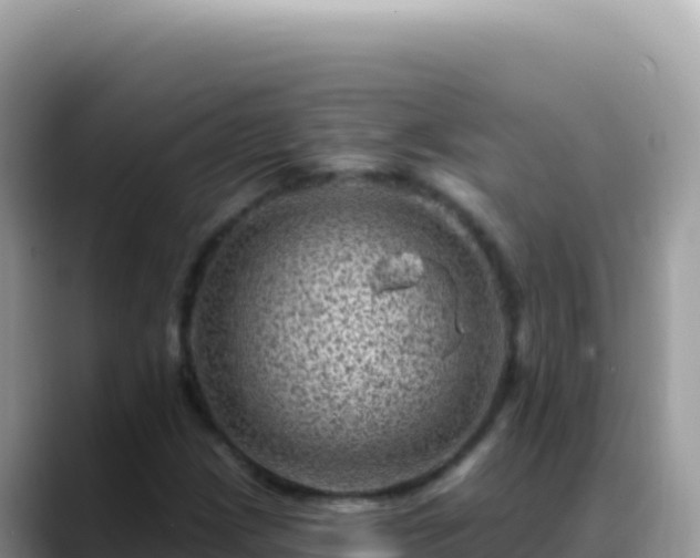 X0000088731209200706071633