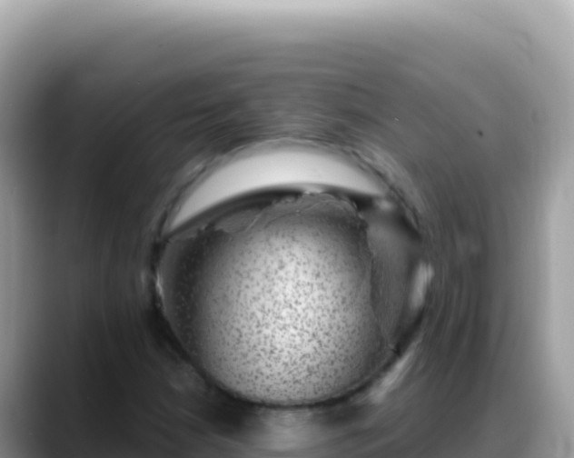 X0000088731210200706071633
