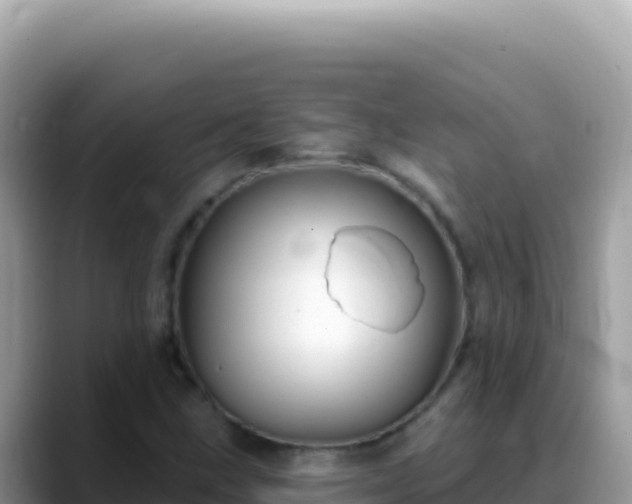 X0000088731211200706071633