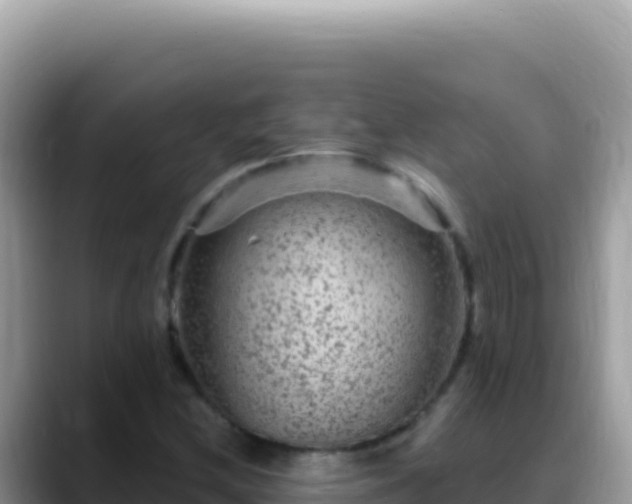 X0000088731212200706071633