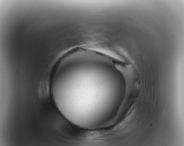 X0000088731214200706071633