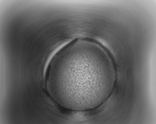 X0000088731217200706071633