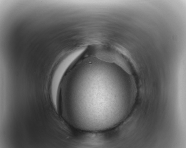 X0000088731218200706071633
