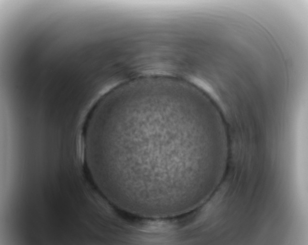 X0000088731219200706071633