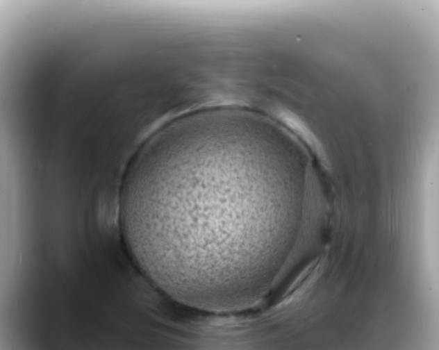 X0000088731220200706071633