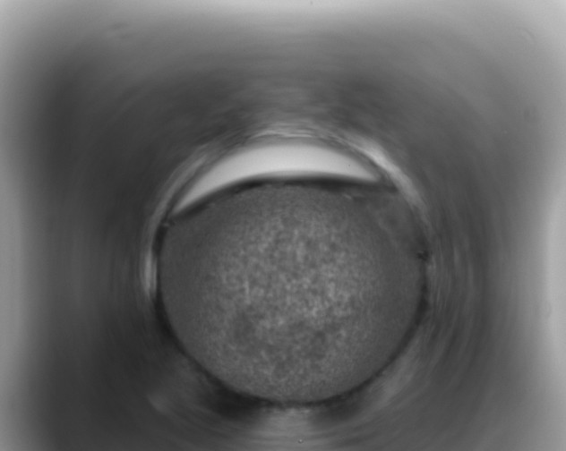 X0000088731221200706071633
