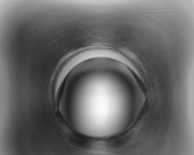 X0000088731222200706071633