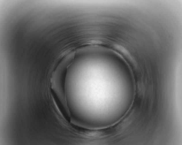 X0000088731225200706071633