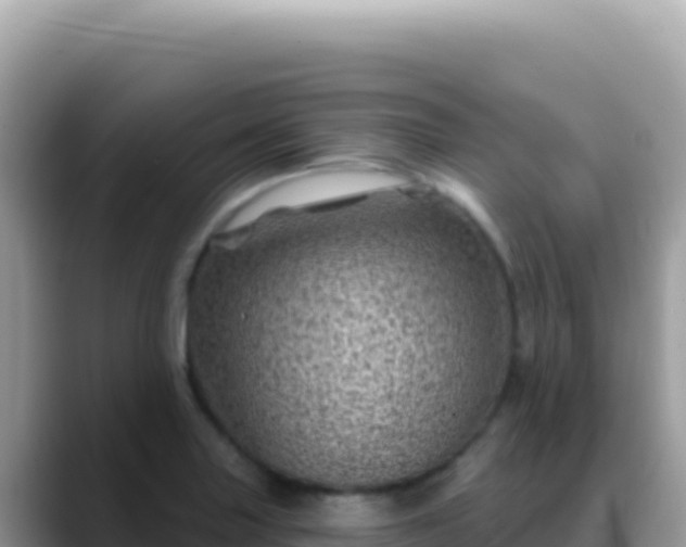 X0000088731227200706071633