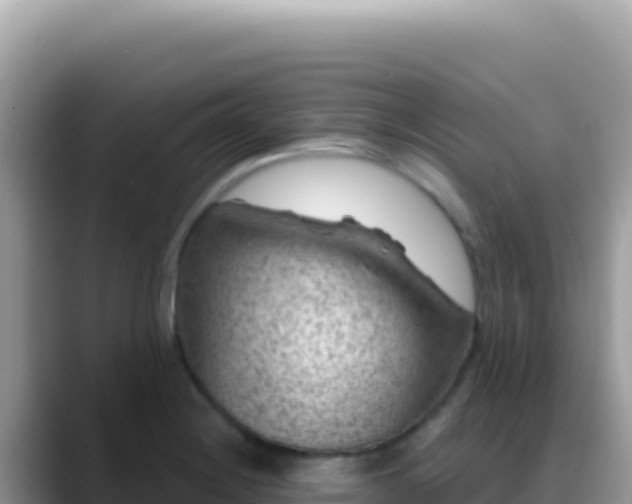 X0000088731228200706071633
