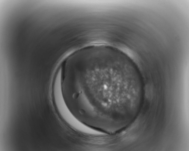X0000088731229200706071633