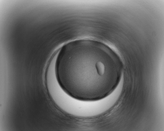 X0000088731230200706071633