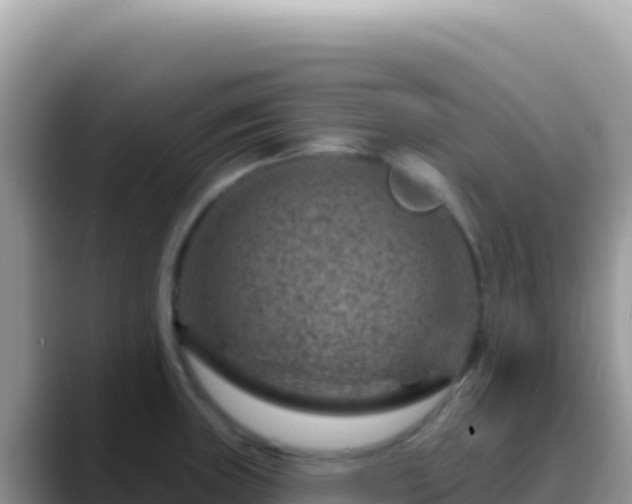 X0000088731235200706071633