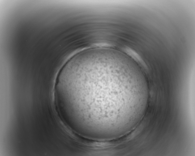 X0000088731236200706071633