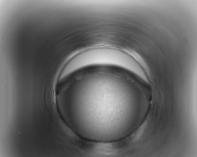 X0000088731238200706071633