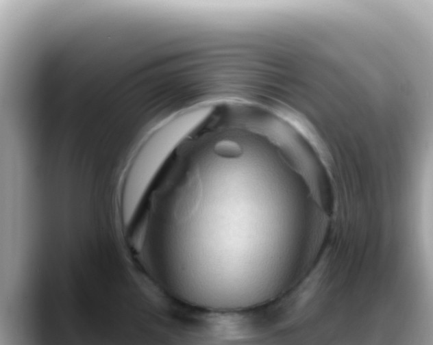 X0000088731242200706071633