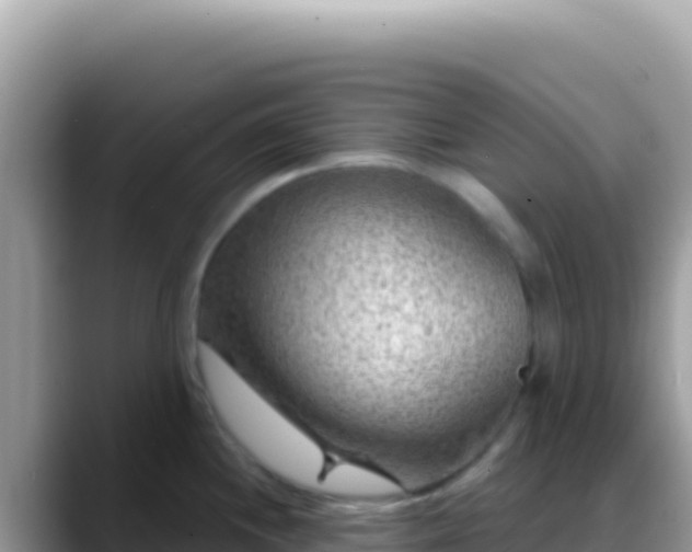 X0000088731244200706071633