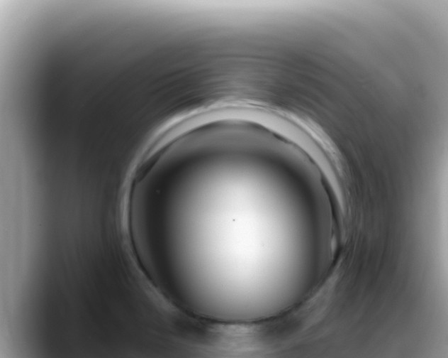 X0000088731246200706071633