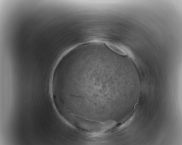 X0000088731247200706071633