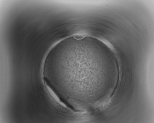 X0000088731248200706071633